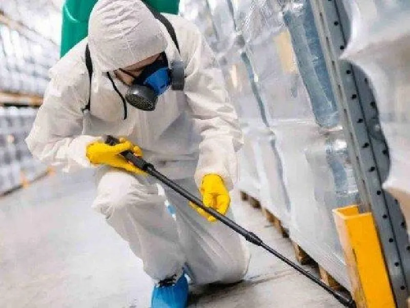 Imagem ilustrativa de Controle de pragas dedetização