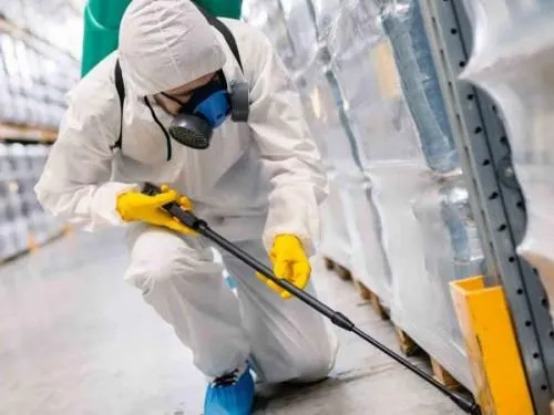 Imagem ilustrativa de Dedetização de pragas urbanas